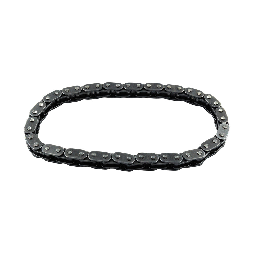 S&S CYCLE - CAM CHAIN - PRIMARY - BIG TWIN - '07-'25