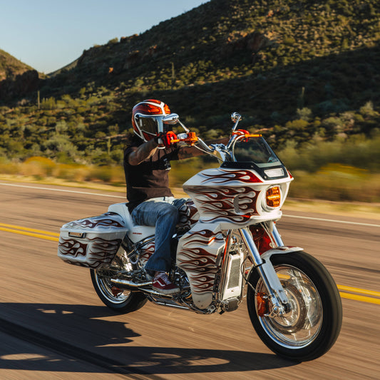 LOW RIDER ST2 RIGID INDUSTRIES ADAPT XP MOUNTING BRACKET AND WIRING HARNESS