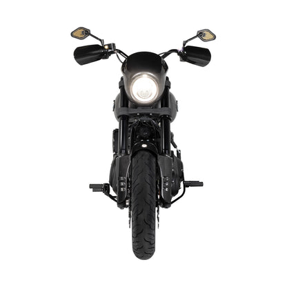ARLEN NESS - FRONT FENDER - QUALIFIER - 19" - CARBON FIBER