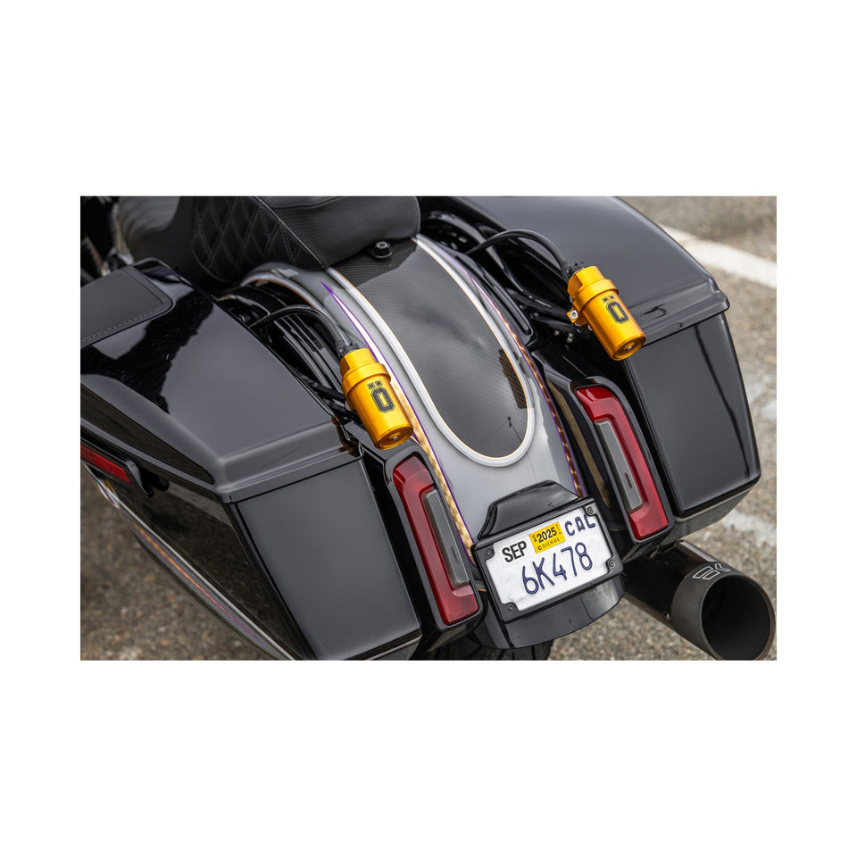 ARLEN NESS - REAR FENDER - CUSTOM LIGHTING - CARBON FIBER - TOURING