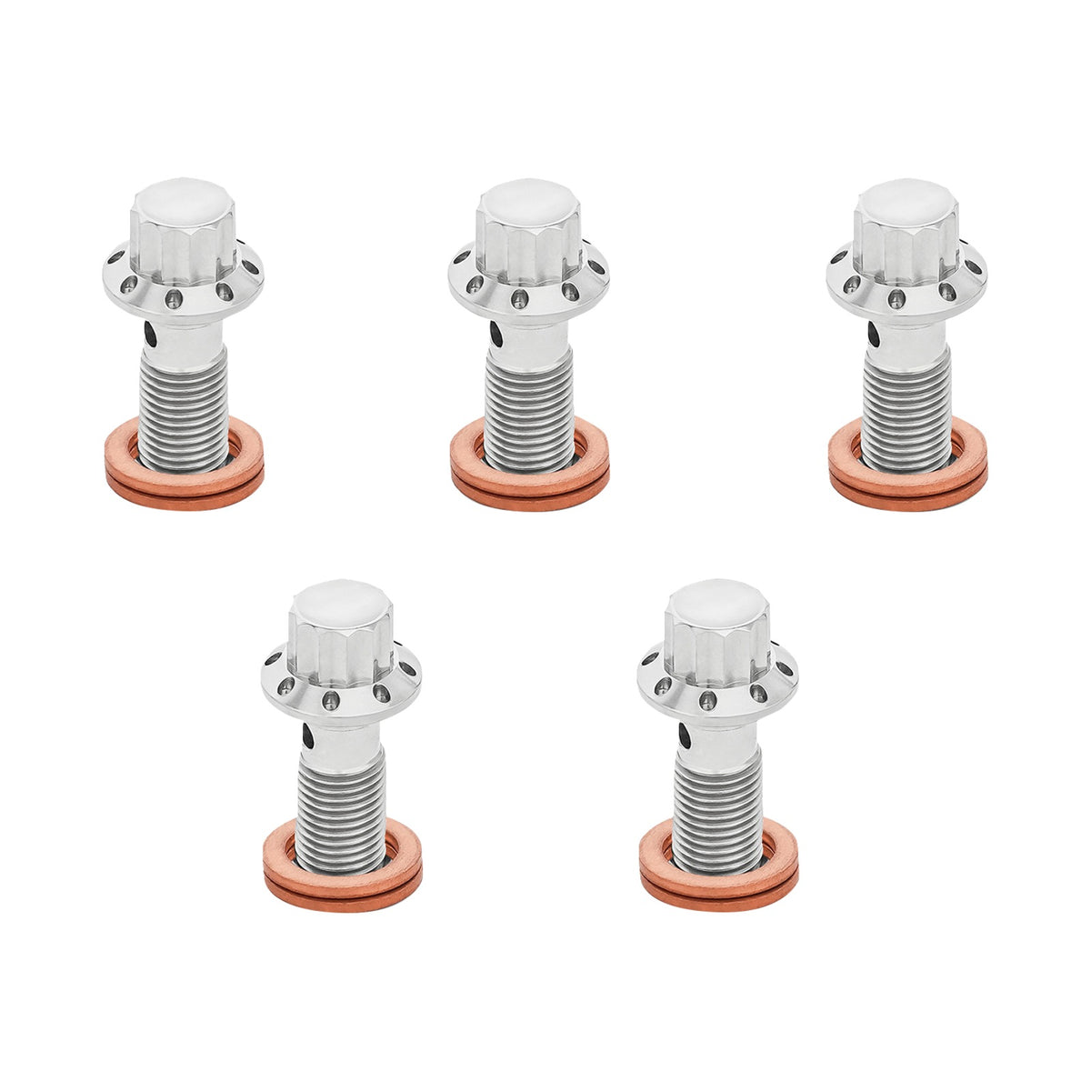 ARLEN NESS - BANJO BOLT 5-PACK - M10X1.25 - POLISHED