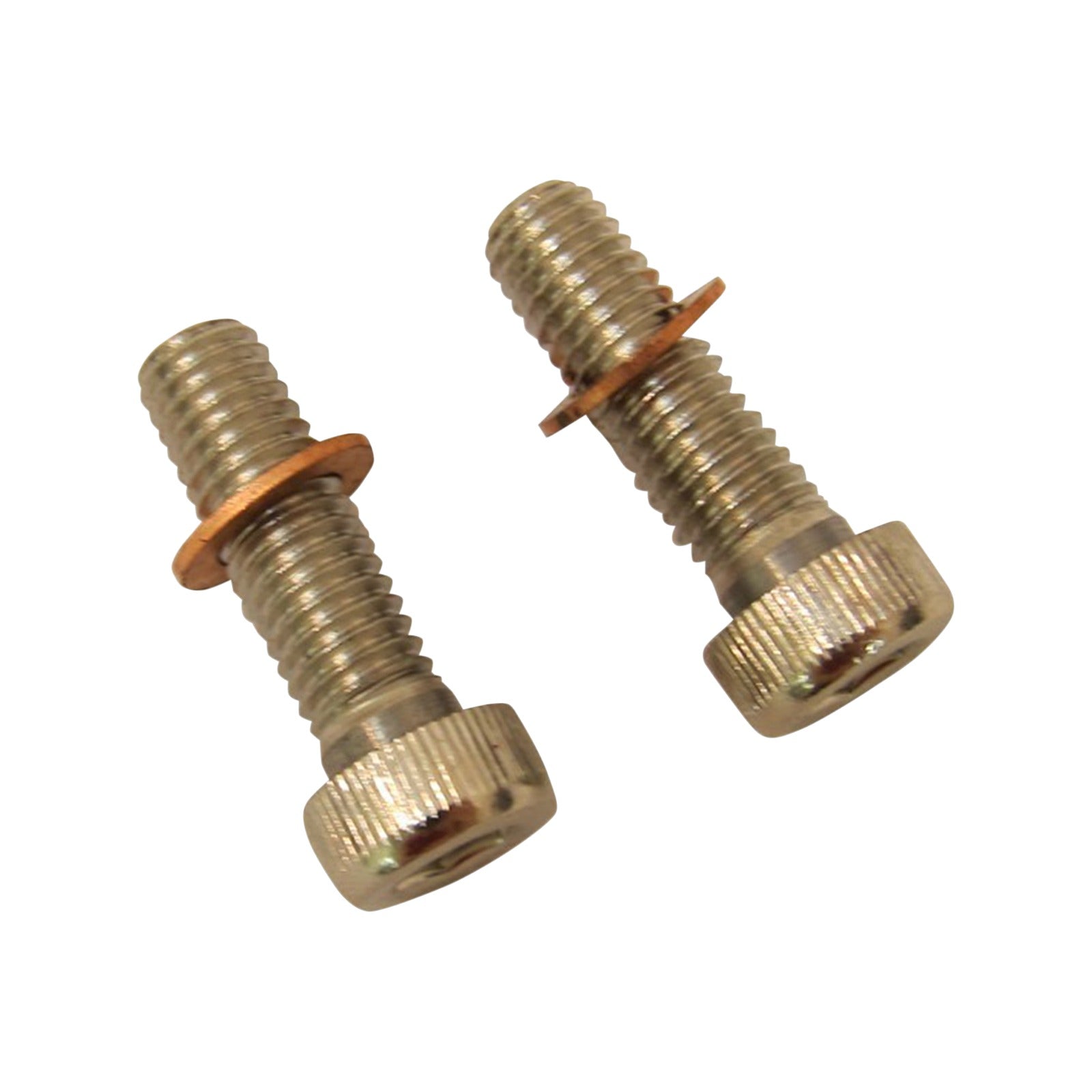 DRAG SPECIALTIES - SCREWS WITH/WASHERS - DAMPER TUBE