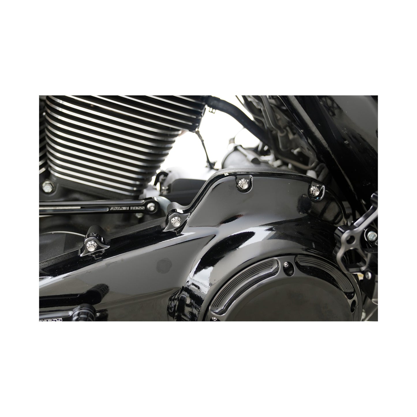 ARLEN NESS - BOLT KIT - PRIMARY COVER - TITANIUM - 12-POINT - FLT - POLISHED