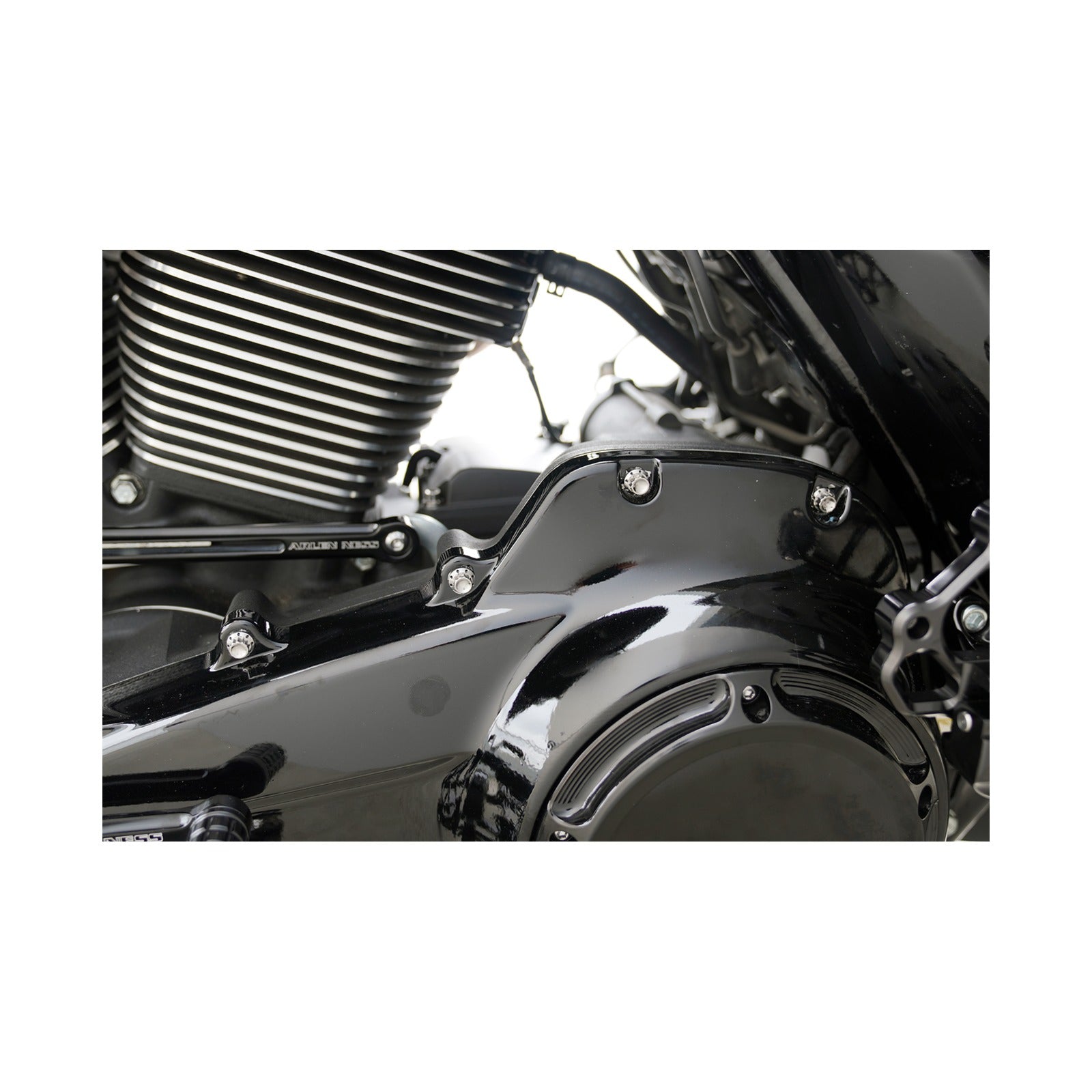 ARLEN NESS - BOLT KIT - PRIMARY COVER - TITANIUM - 12-POINT - FLT - POLISHED
