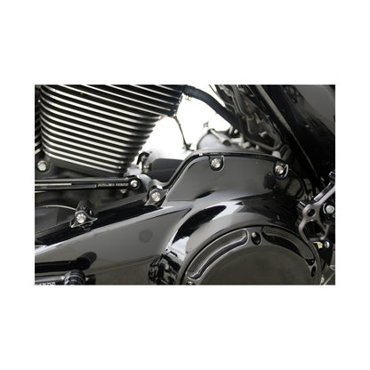 ARLEN NESS - BOLT KIT - PRIMARY COVER - TITANIUM - 12-POINT - FLT - POLISHED