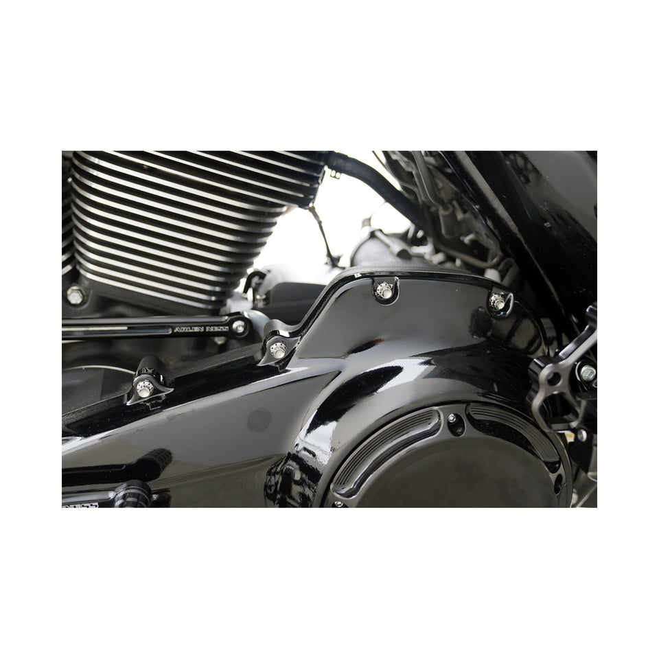 ARLEN NESS - BOLT KIT - PRIMARY COVER - TITANIUM - 12-POINT - FLT - POLISHED