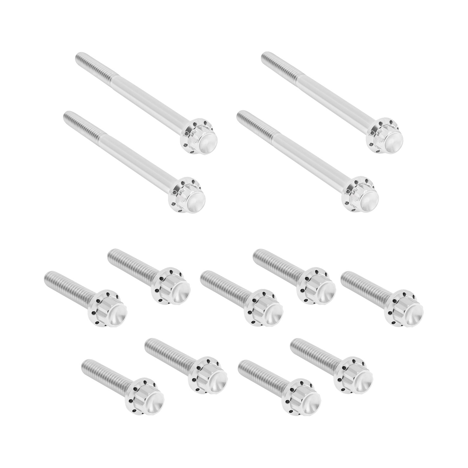 ARLEN NESS - BOLT KIT - PRIMARY COVER - TITANIUM - 12-POINT - FLT - POLISHED