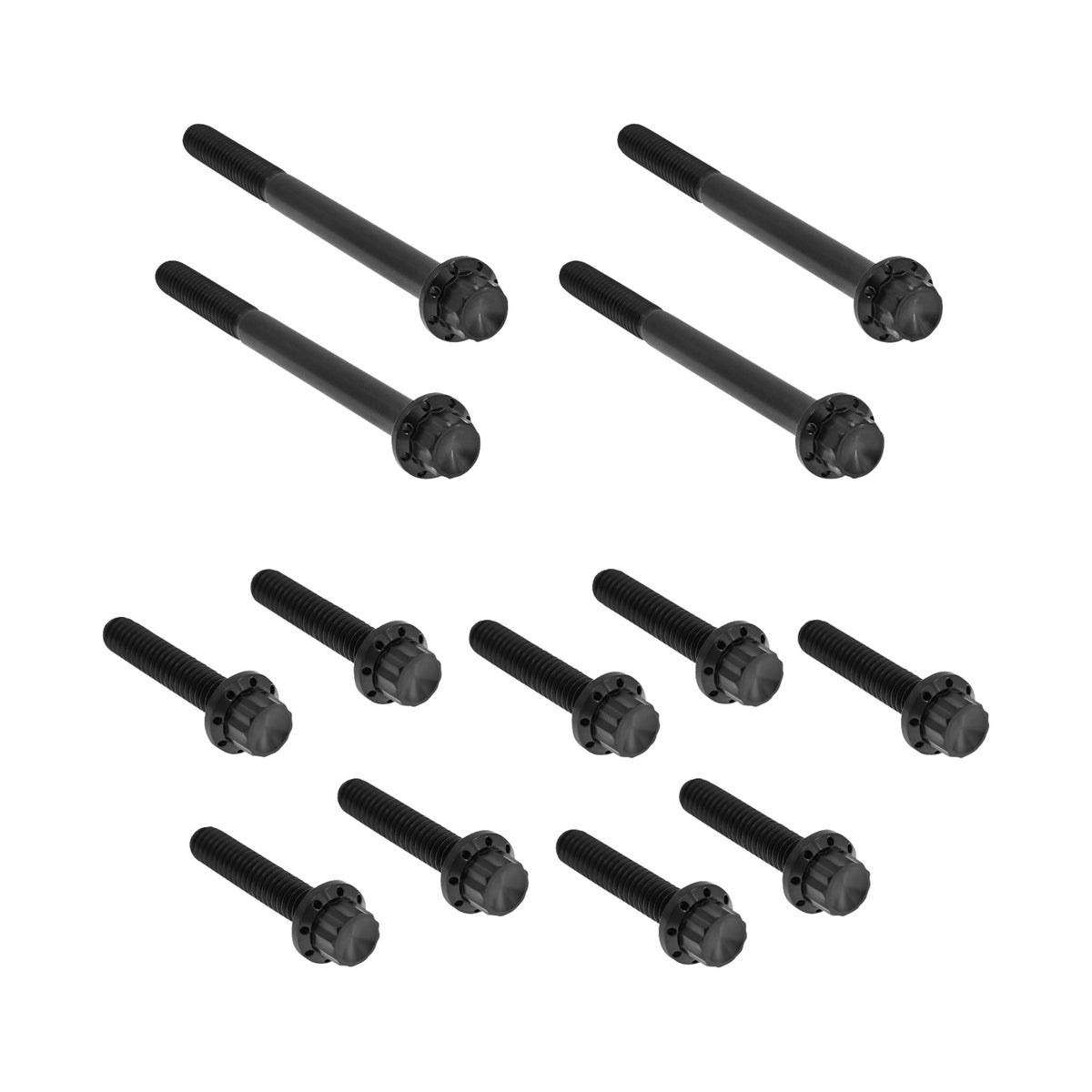 ARLEN NESS - BOLT KIT - PRIMARY COVER - TITANIUM - 12-POINT - FLT - BLACK
