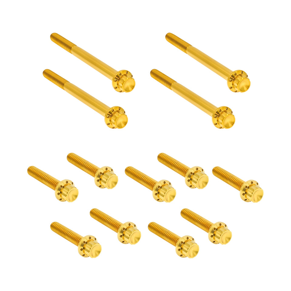 ARLEN NESS - BOLT KIT - PRIMARY COVER - TITANIUM - 12-POINT - SOFTAIL - GOLD