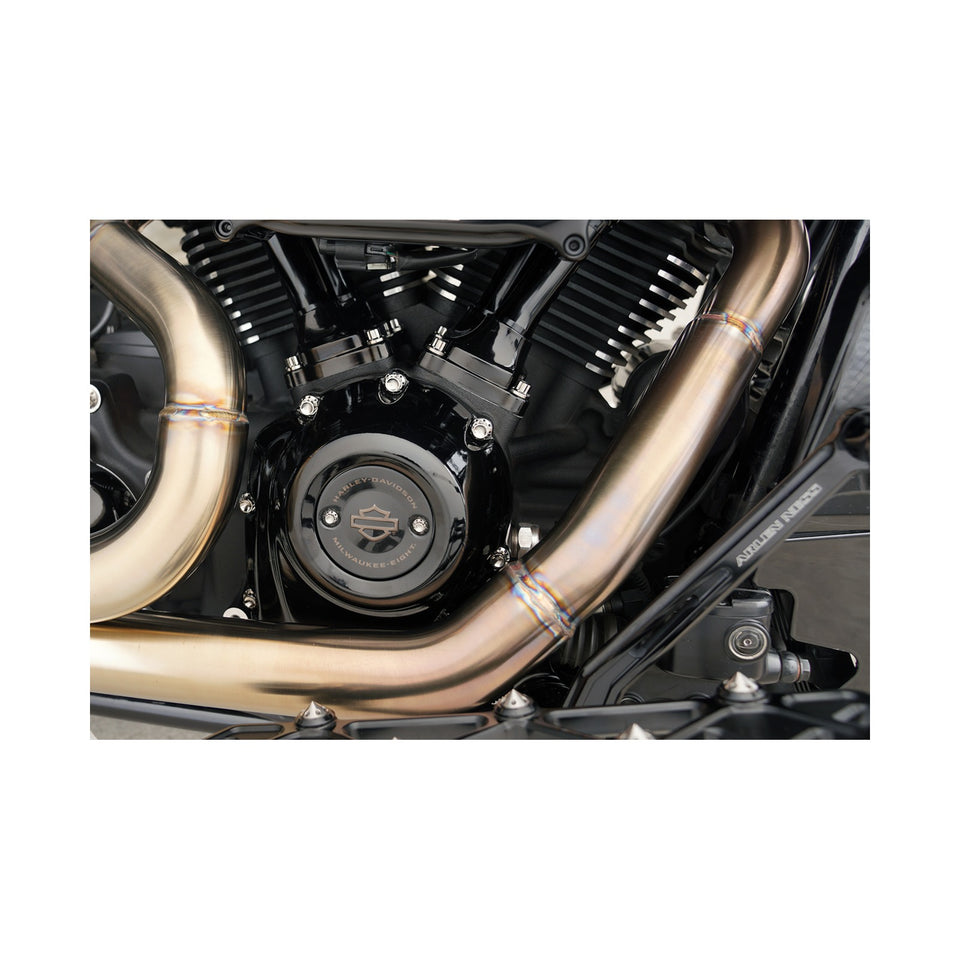 ARLEN NESS - BOLT KIT - CAM COVER/POINT COVER - TITANIUM - 12-POINT - POLISHED