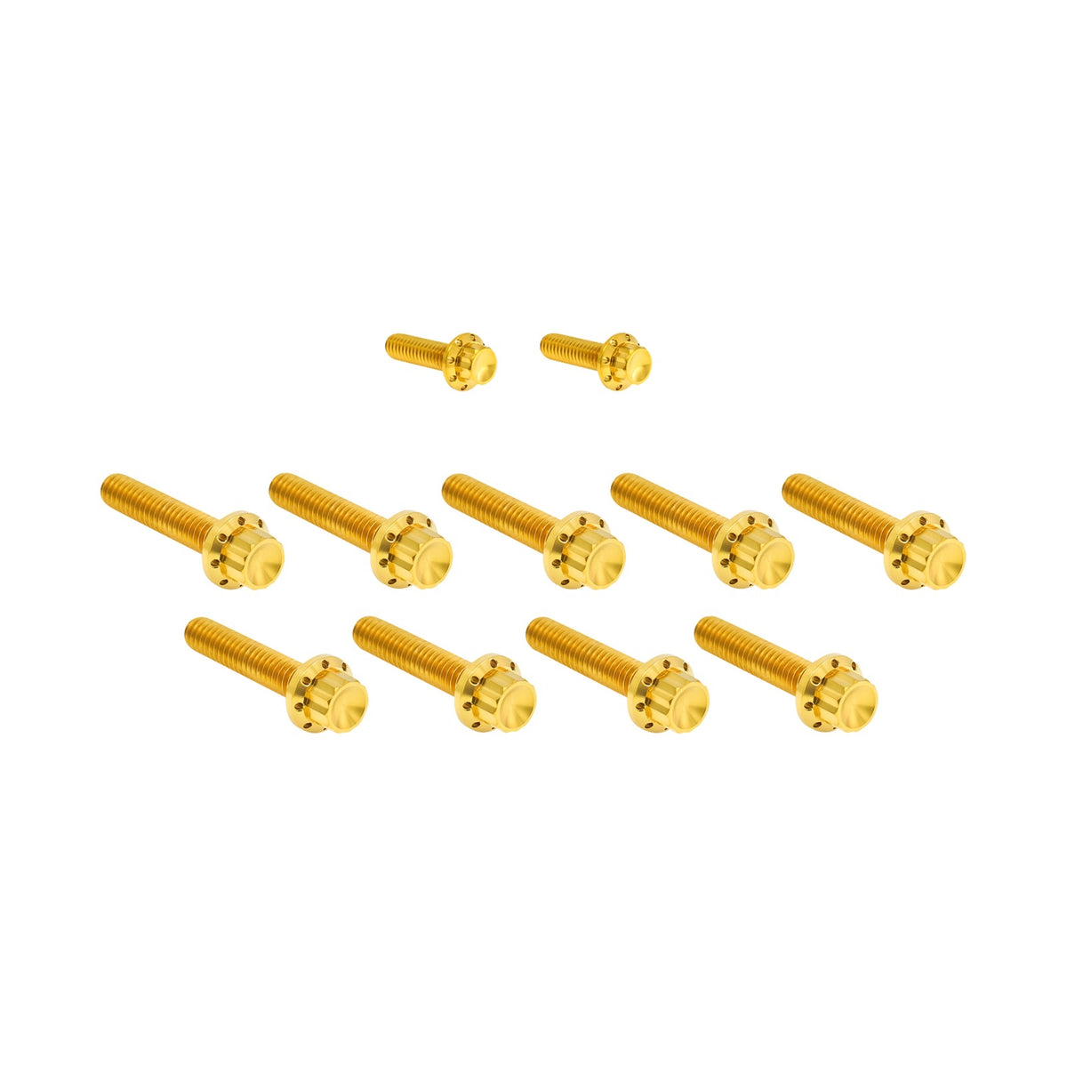 ARLEN NESS - BOLT KIT - CAM COVER/POINT COVER - TITANIUM - 12-POINT - GOLD