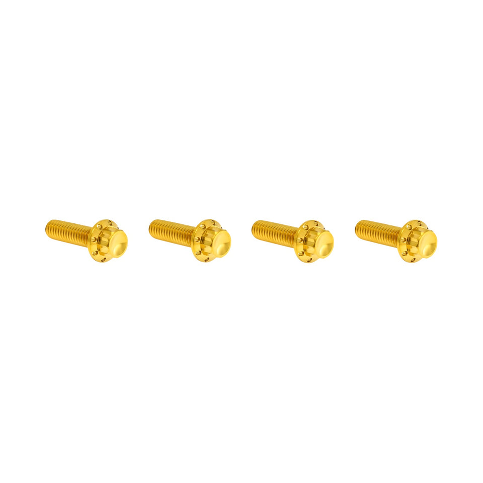 ARLEN NESS - BOLT KIT - TRANSMISSION TOP COVER - 12-POINT - TITANIUM - GOLD