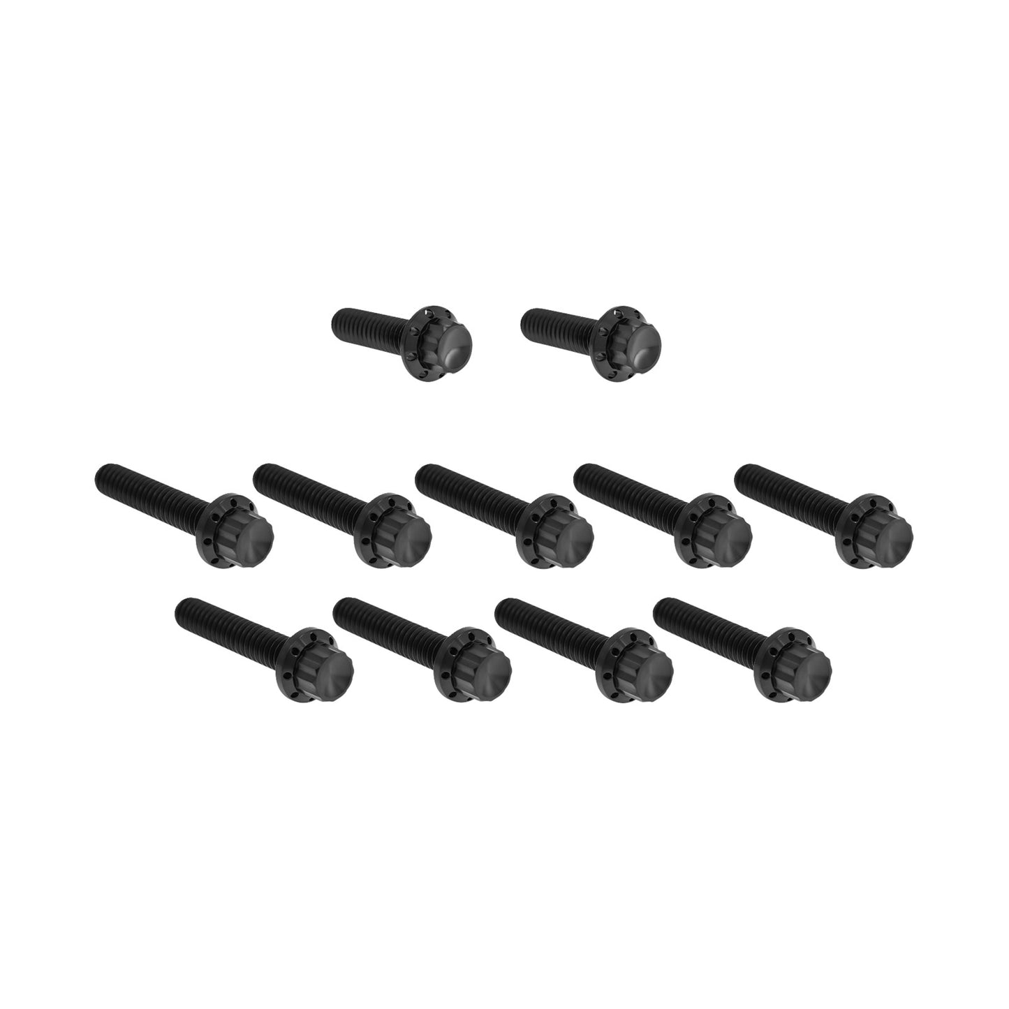 ARLEN NESS - BOLT KIT - CAM COVER/POINT COVER - TITANIUM - 12-POINT - BLACK