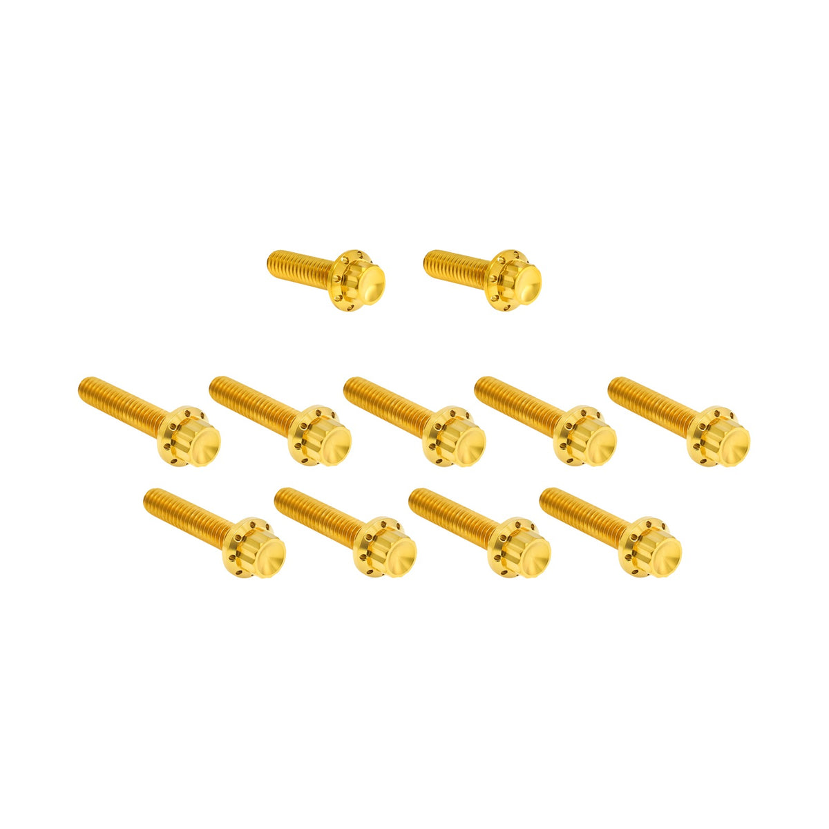 ARLEN NESS - BOLT KIT - CAM COVER/POINT COVER - TITANIUM - 12-POINT - GOLD