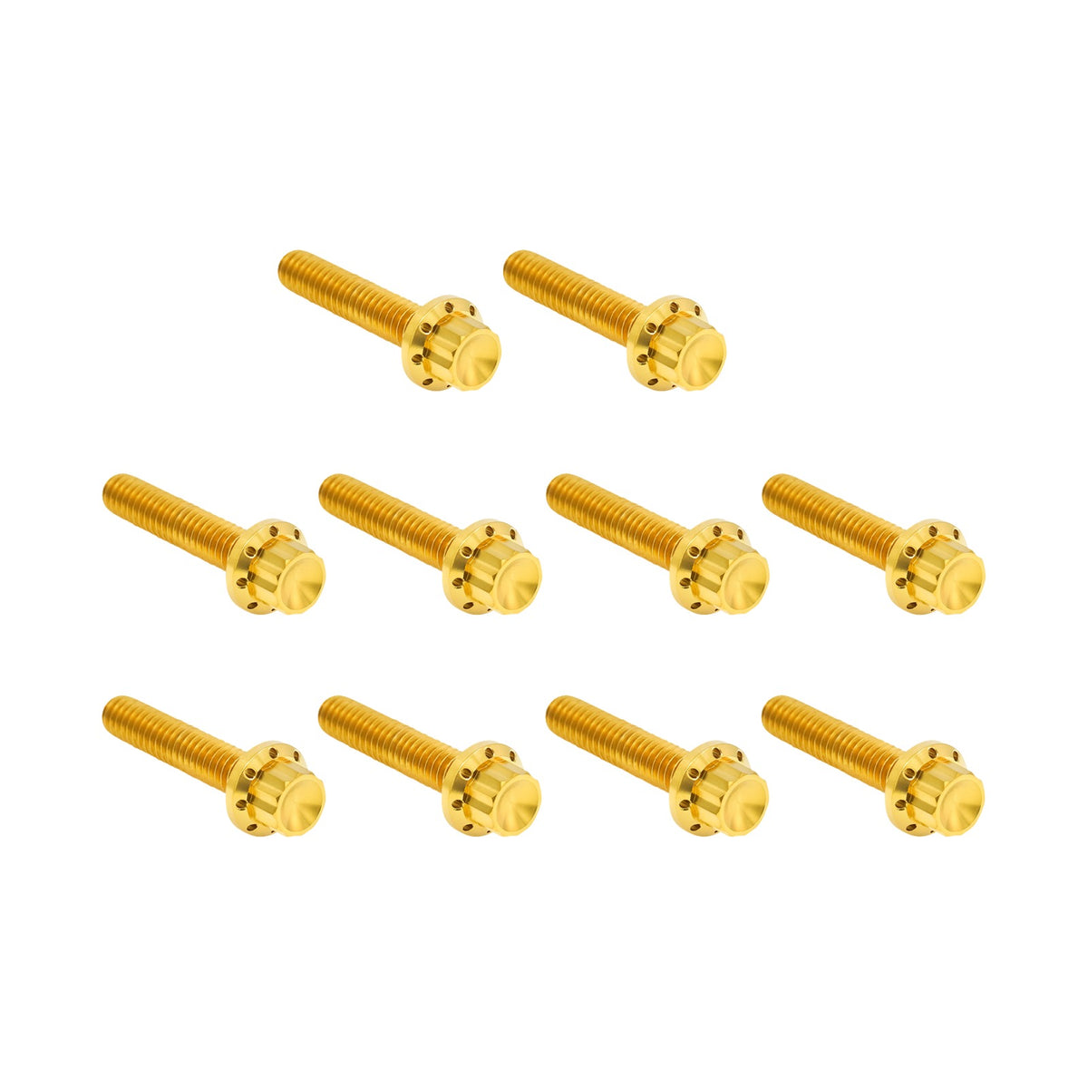ARLEN NESS - BOLT KIT - CAM COVER/POINT COVER - TITANIUM - 12-POINT - GOLD