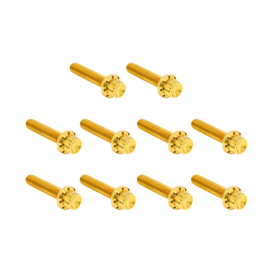 ARLEN NESS - BOLT KIT - CAM COVER/POINT COVER - TITANIUM - 12-POINT - GOLD