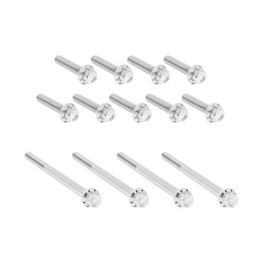 ARLEN NESS - BOLT KIT - PRIMARY COVER - TITANIUM - 12-POINT - TWIN CAM - POLISHED