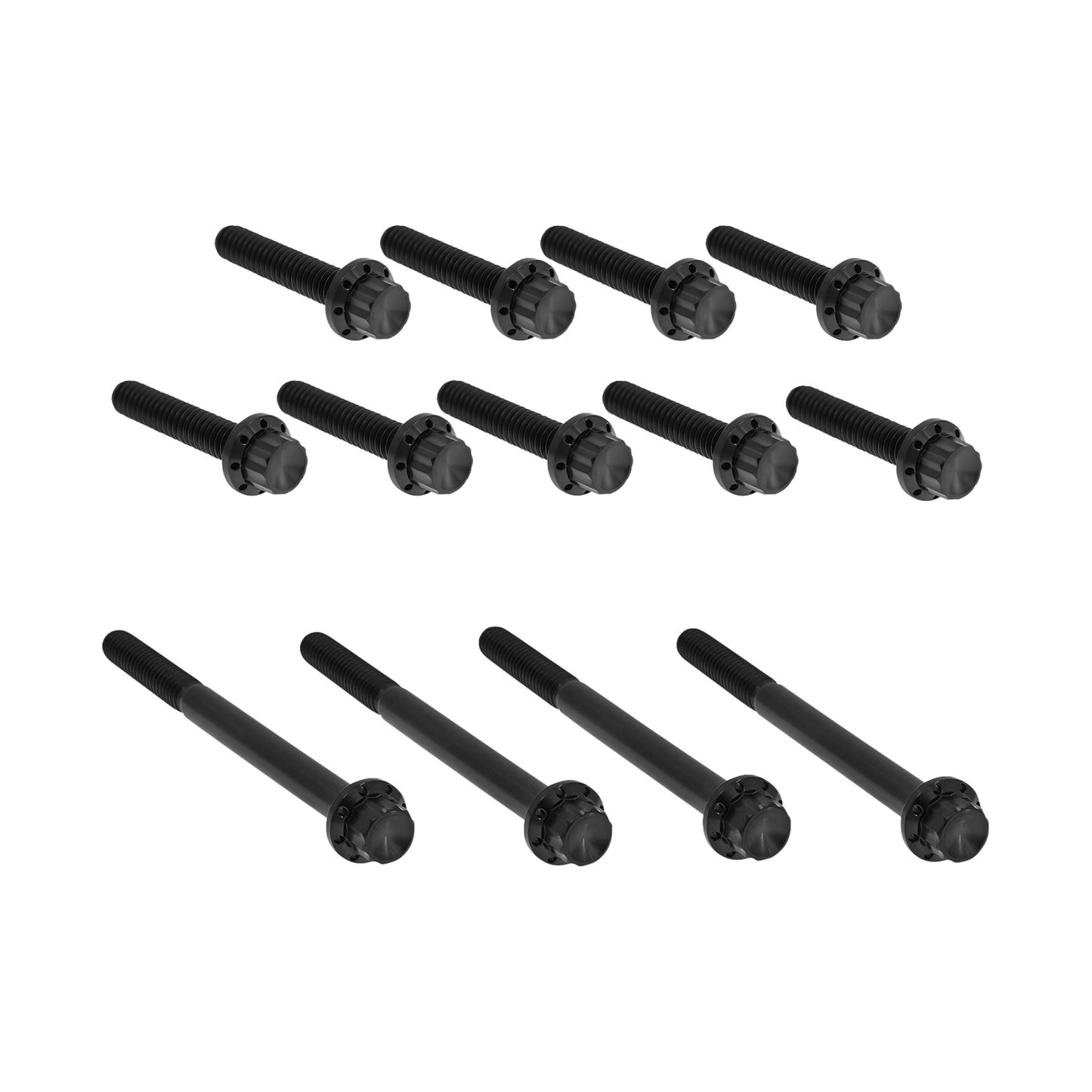 ARLEN NESS - BOLT KIT - PRIMARY COVER - TITANIUM - 12-POINT - TWIN CAM - BLACK