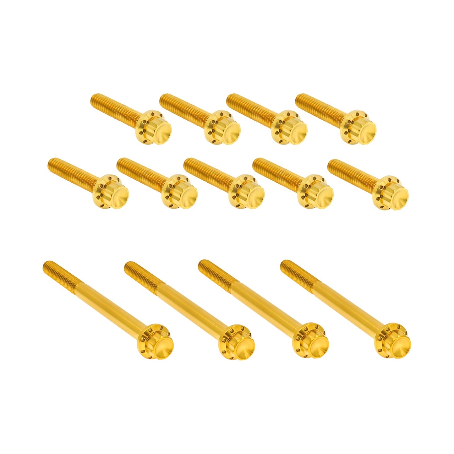 ARLEN NESS - BOLT KIT - PRIMARY COVER - TITANIUM - 12-POINT - TWIN CAM - GOLD