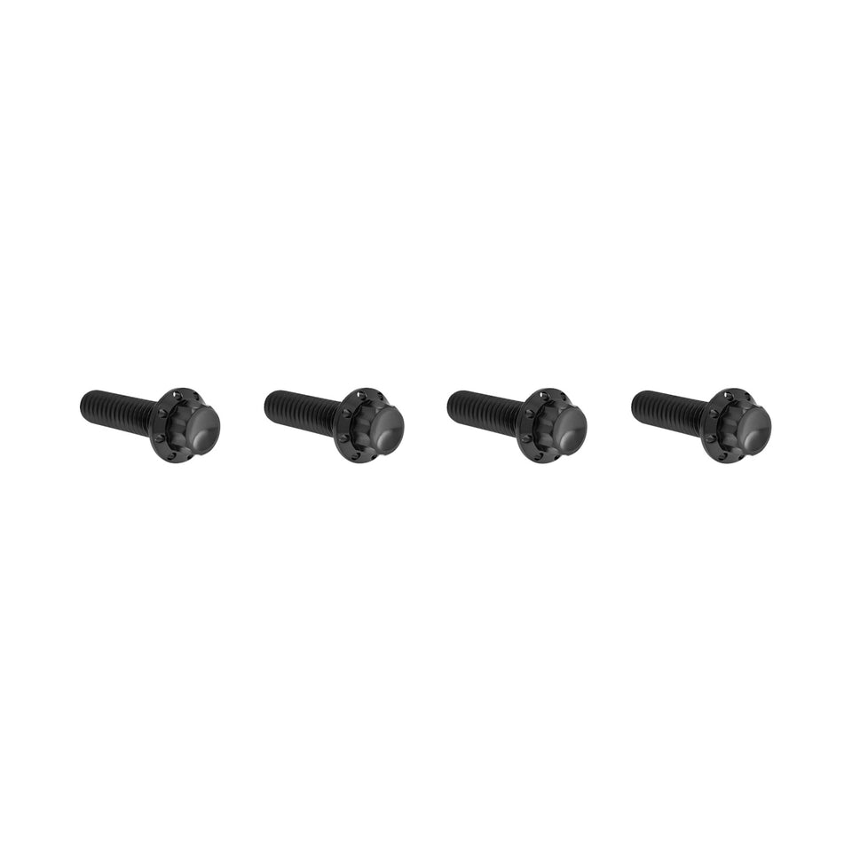 ARLEN NESS - BOLT KIT - TRANSMISSION TOP COVER - 12-POINT - TITANIUM - BLACK