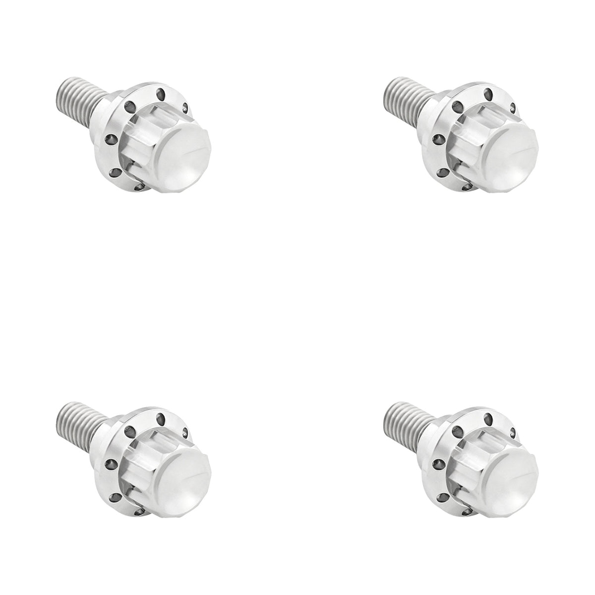 ARLEN NESS - BOLT KIT - WINDSHIELD - 12-POINT - TITANIUM - SILVER