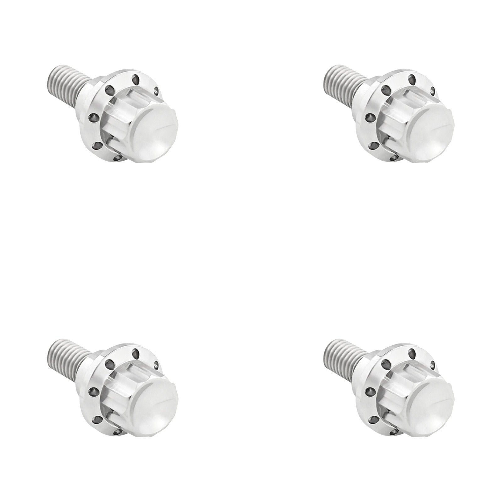 ARLEN NESS - BOLT KIT - WINDSHIELD - 12-POINT - TITANIUM - SILVER
