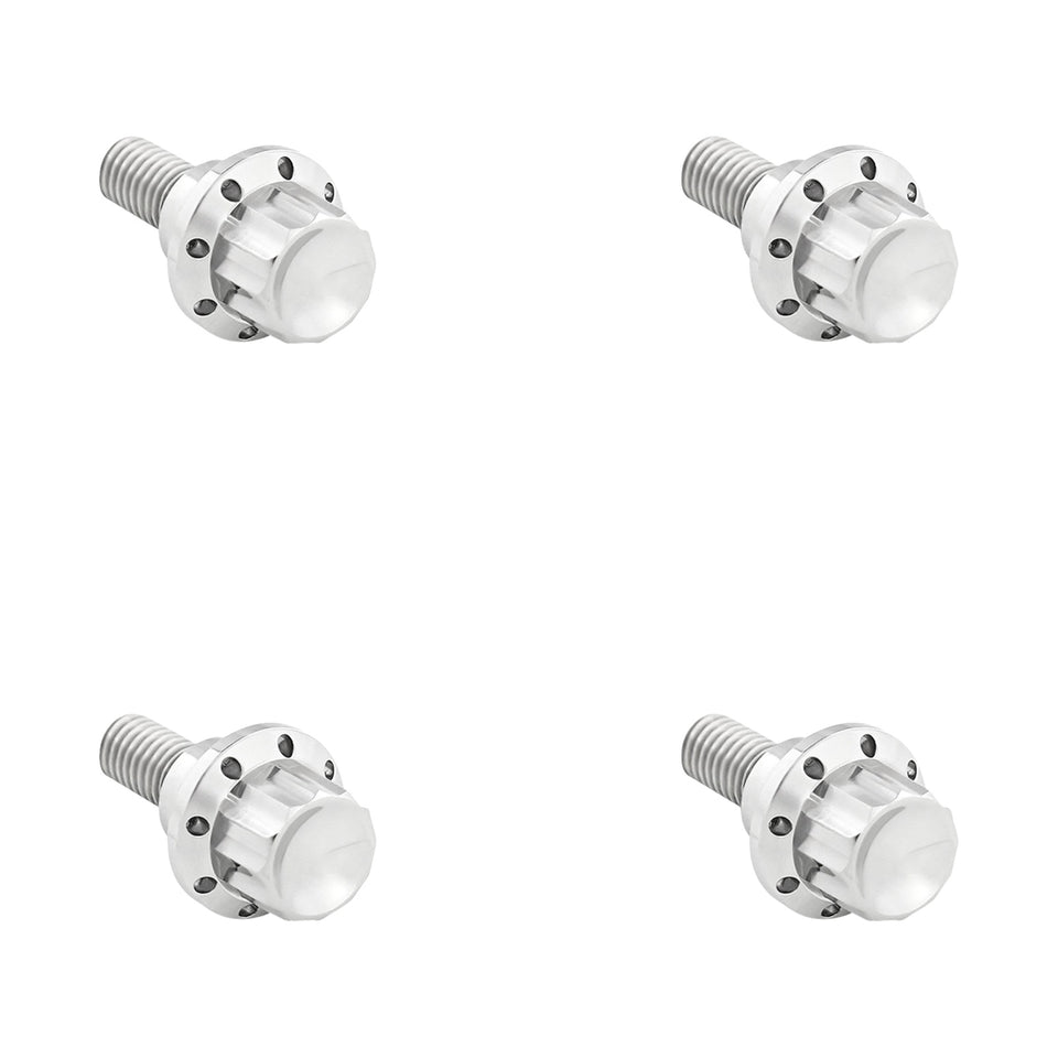 ARLEN NESS - BOLT KIT - WINDSHIELD - 12-POINT - TITANIUM - SILVER