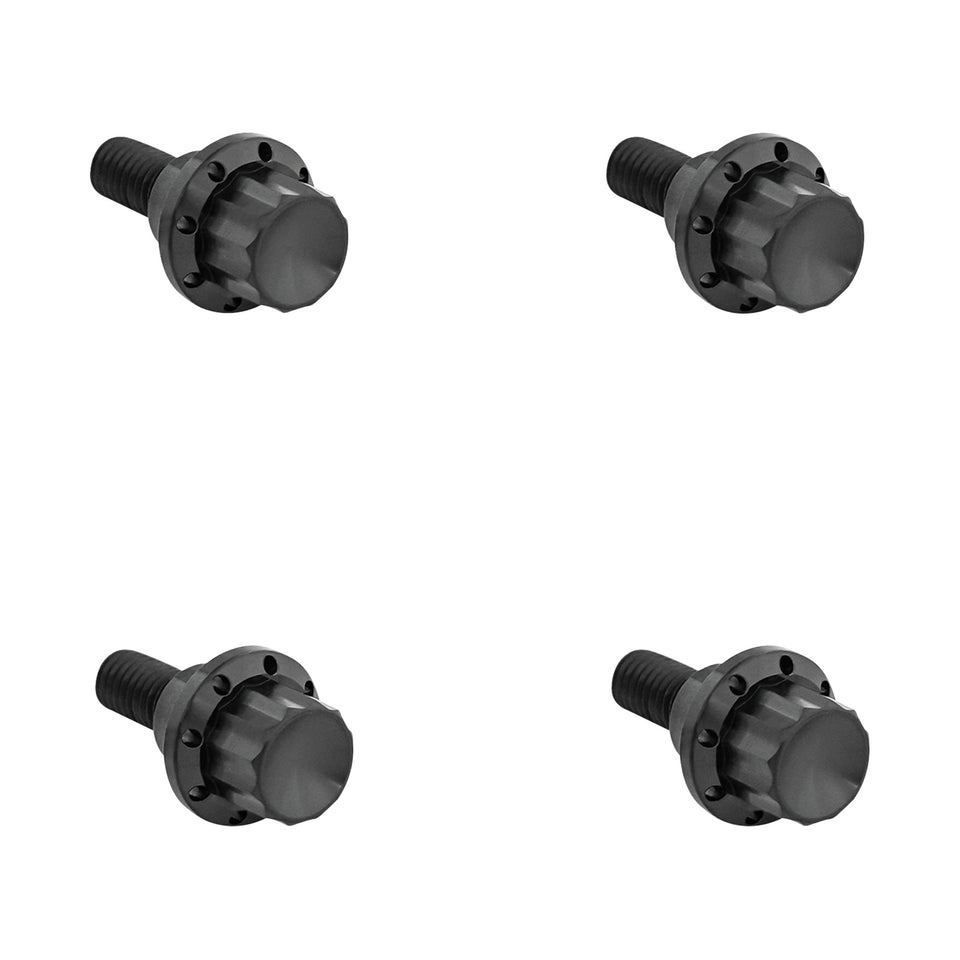 ARLEN NESS - BOLT KIT - WINDSHIELD - 12-POINT - TITANIUM - BLACK