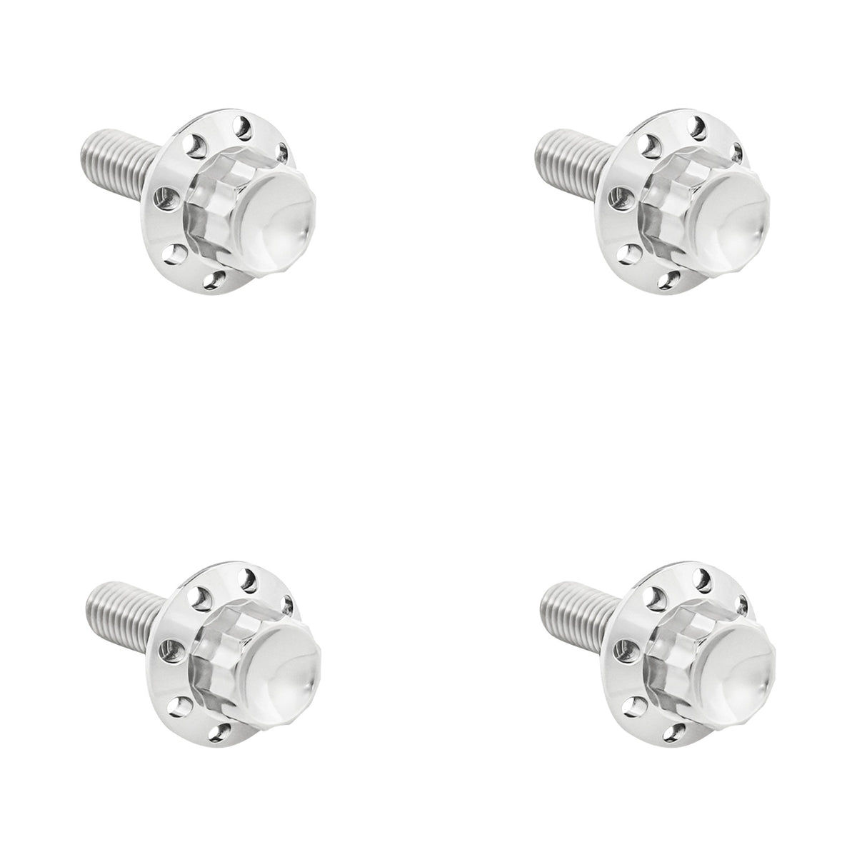 ARLEN NESS - BOLT KIT - WINDSHIELD - TITANIUM - 12-POINT - POLISHED