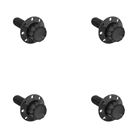 ARLEN NESS - BOLT KIT - WINDSHIELD - TITANIUM - 12-POINT - BLACK