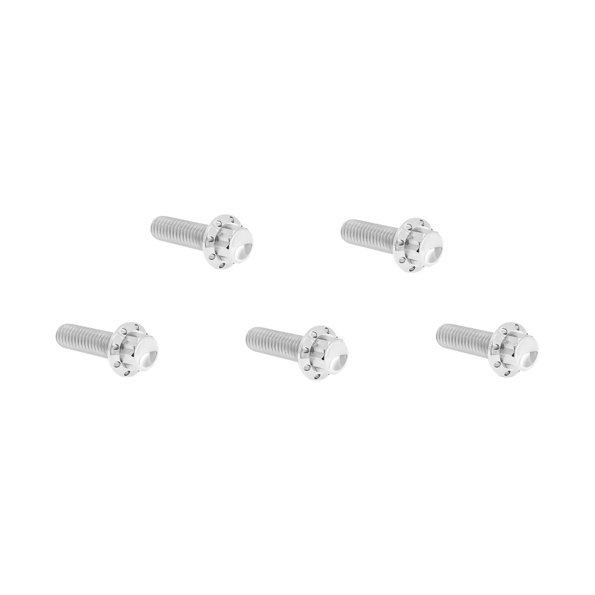 ARLEN NESS - BOLT KIT - DERBY COVER - 12-POINT - TITANIUM - POLISHED