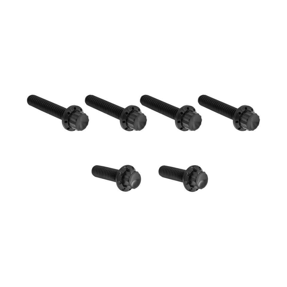 ARLEN NESS - BOLT KIT - CABLE CLUTCH - TITANIUM - 12-POINT - M8/TWIN CAM - BLACK