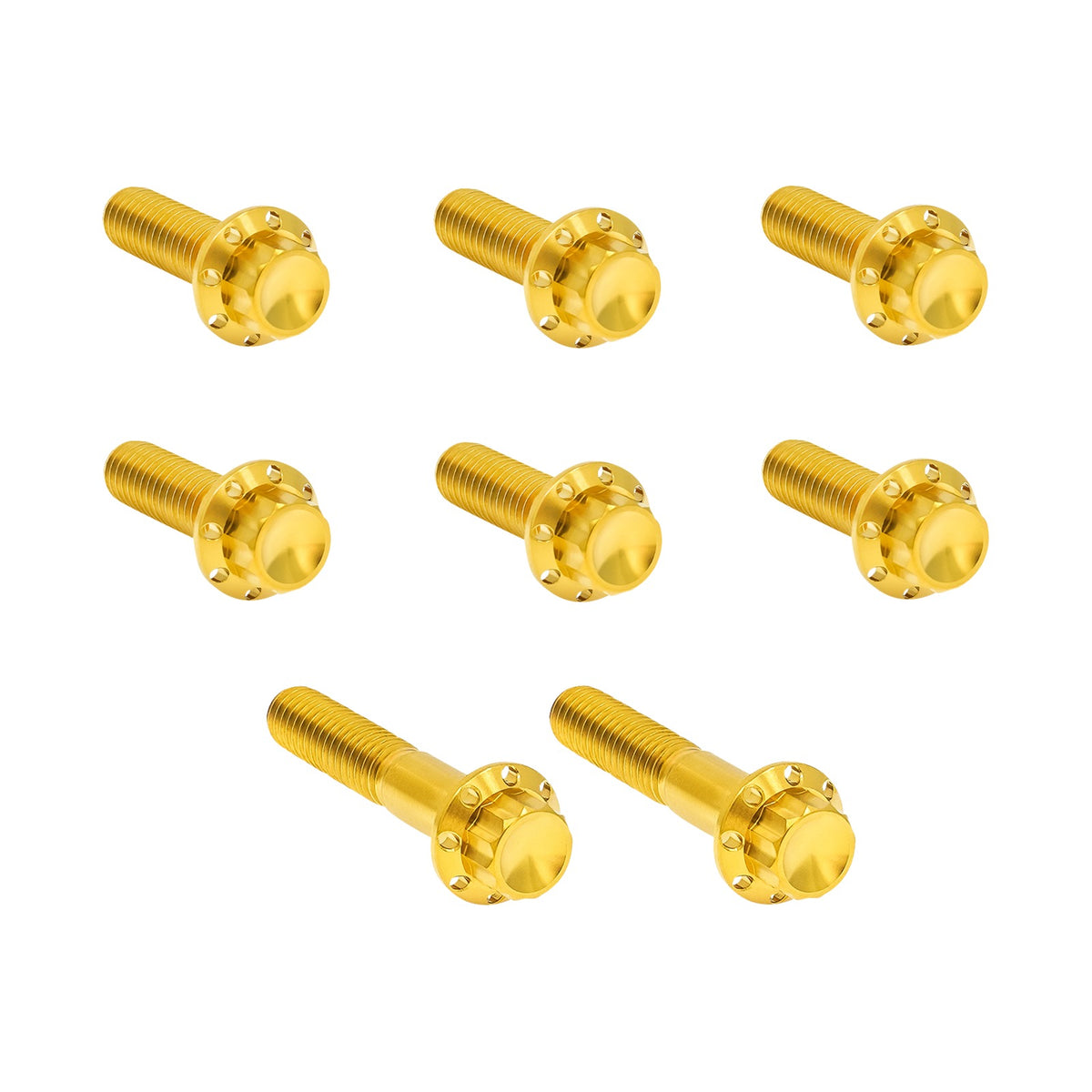 ARLEN NESS - BOLT KIT - TRAP DOOR - TITANIUM - 12-POINT - TWIN CAM/6-SPEED - GOLD