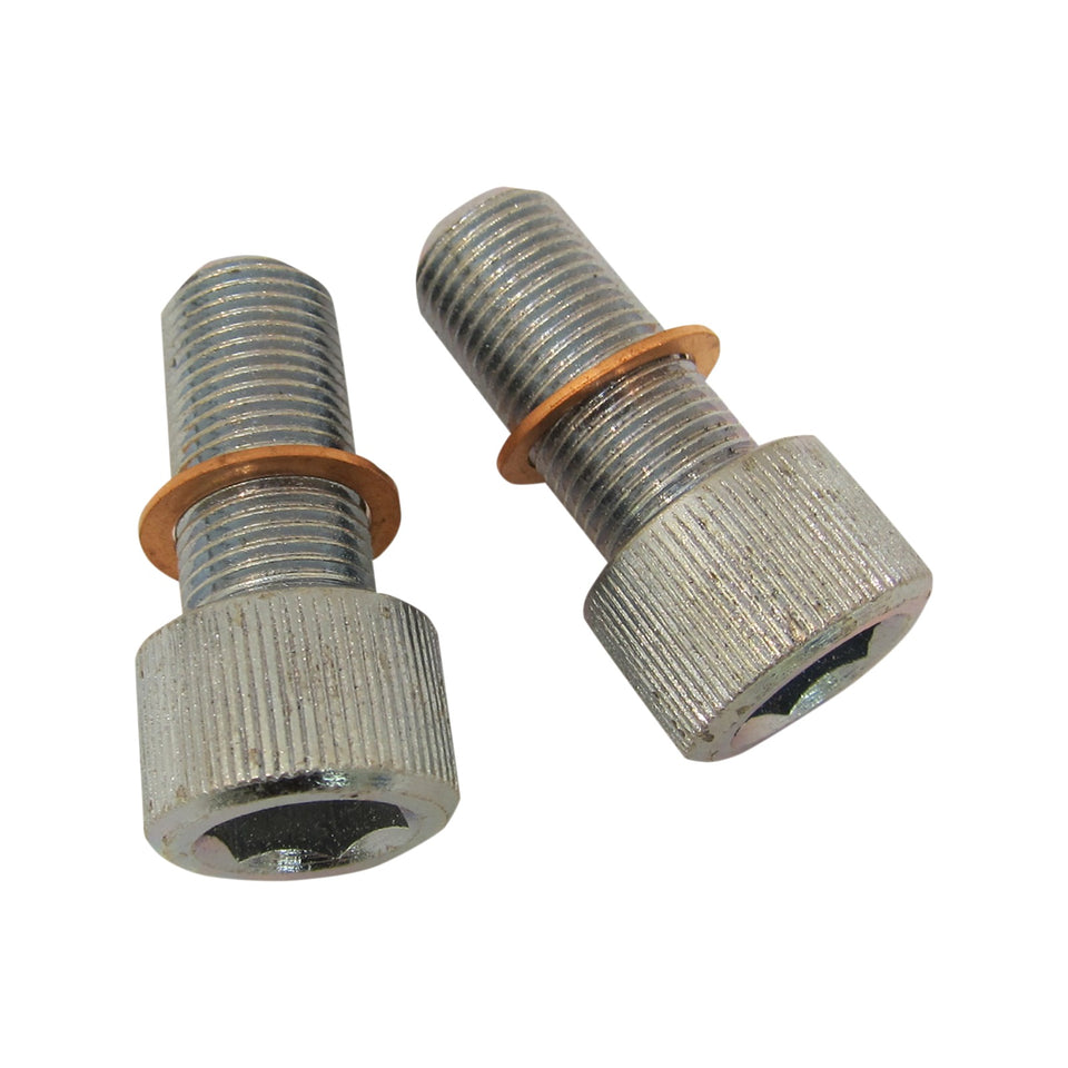DRAG SPECIALTIES - SCREWS WITH/WASHERS - DAMPER TUBE