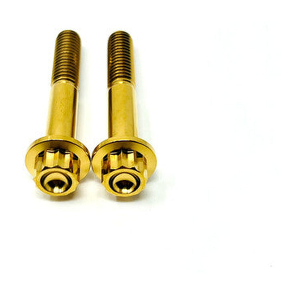 SET OF 2 DMR TITANIUM BOLTS FOR DESTROYER RISERS TOP CLAMP