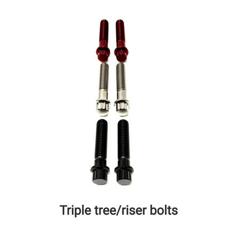 DMR 12 POINT TITANIUM TRIPLE TREE/RISER BOLTS