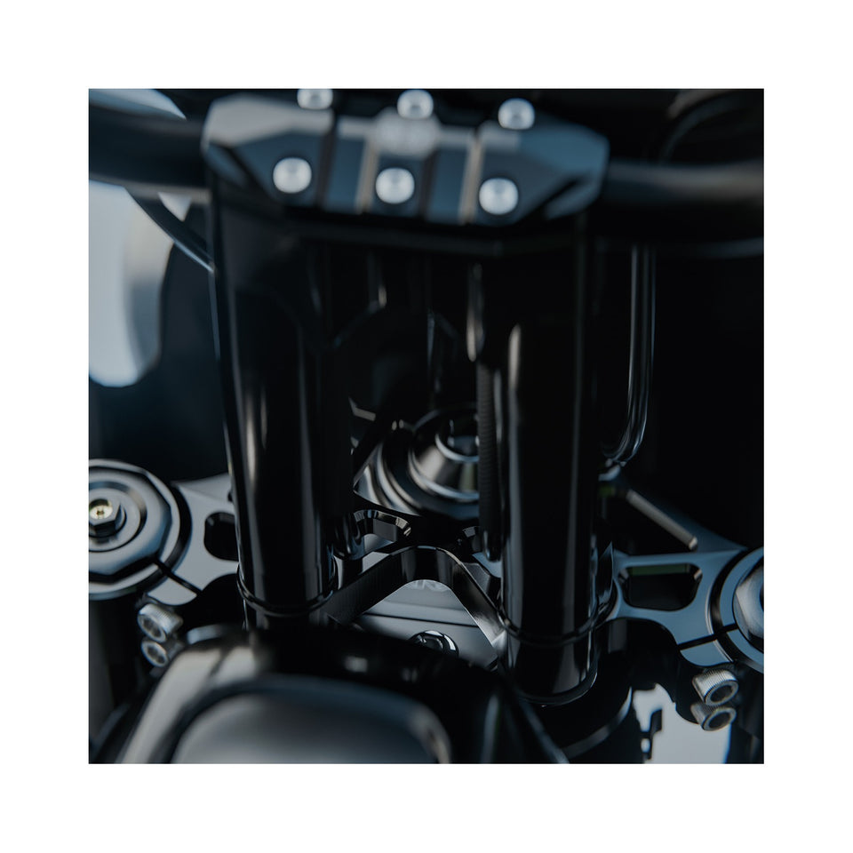 KRAUS - SDC DAGGER PULLBACK PLATE